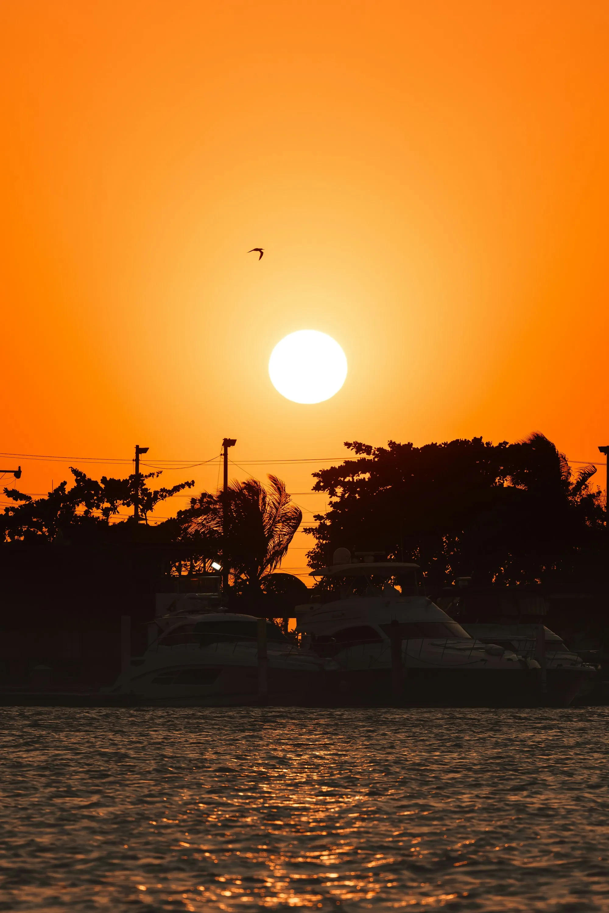 La bahía de Cartagena al atardecer